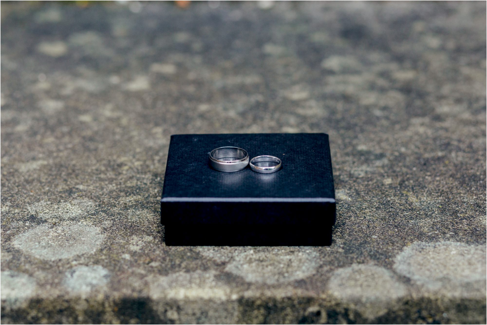 white-gold-wedding-rings