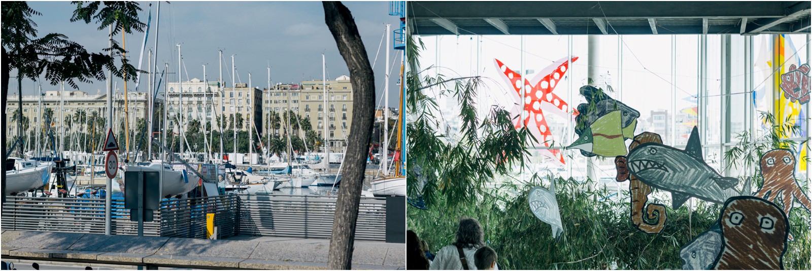 barcelona-marina-aquarium