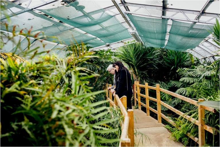 greenhouse-viewpark-gardens