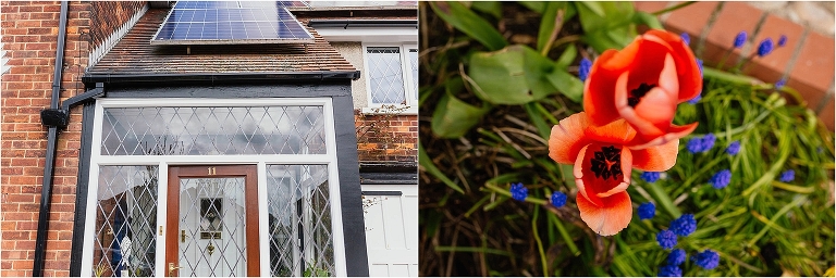 house-front-poppy-plant