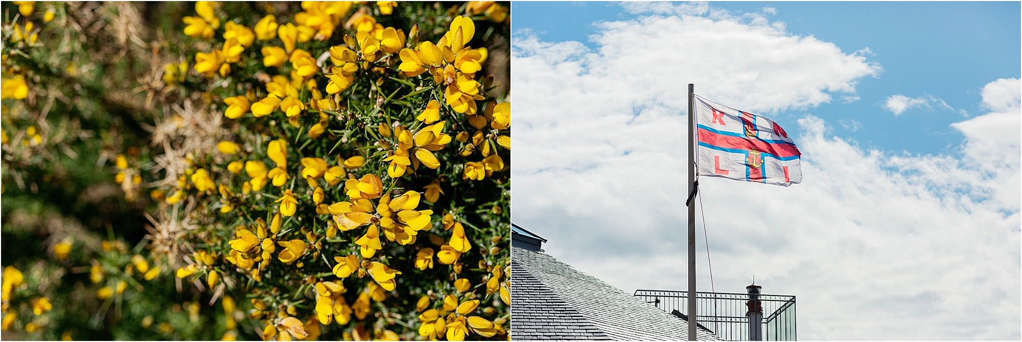 yellow-gorse-RNLI-flag-wind