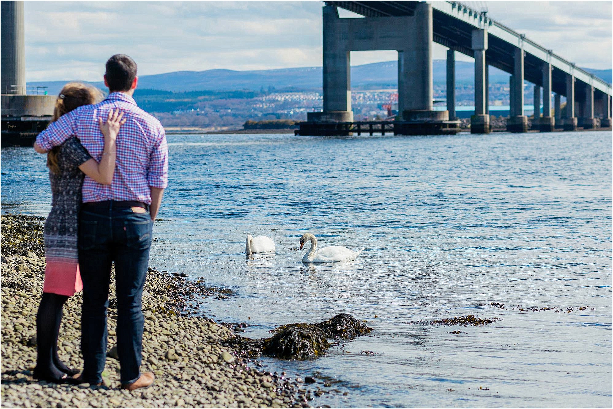 couple-watching-swans-north-kessock-bridge