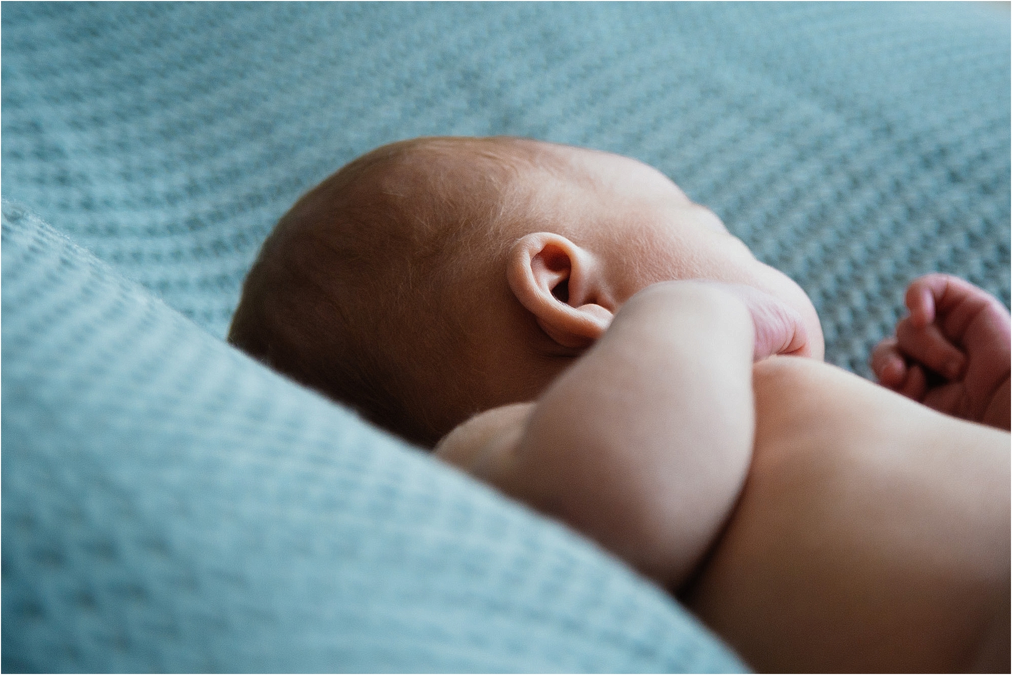close-up-newborns-ear-lobe