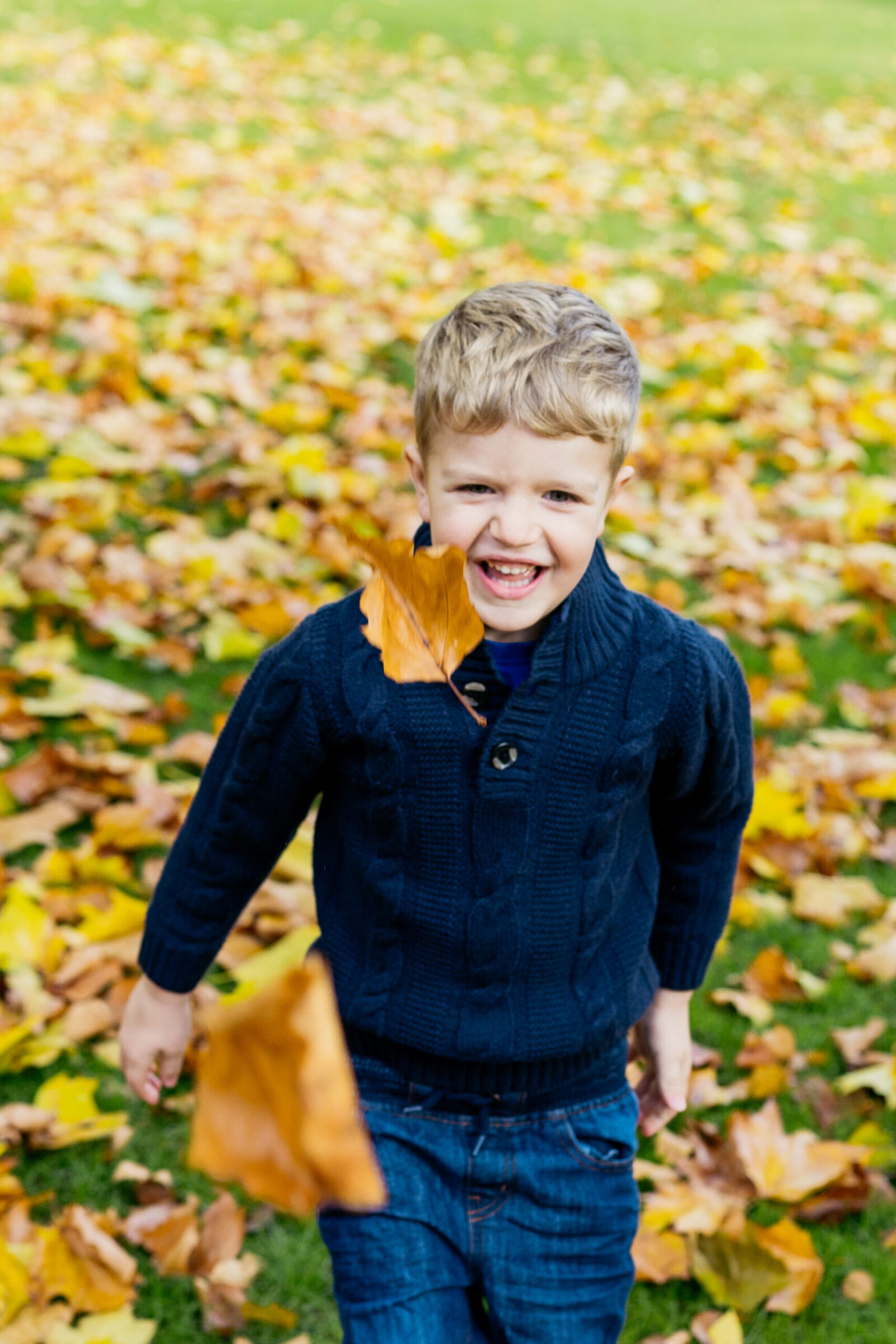 boy-throwing-autumn-leaves-in-air