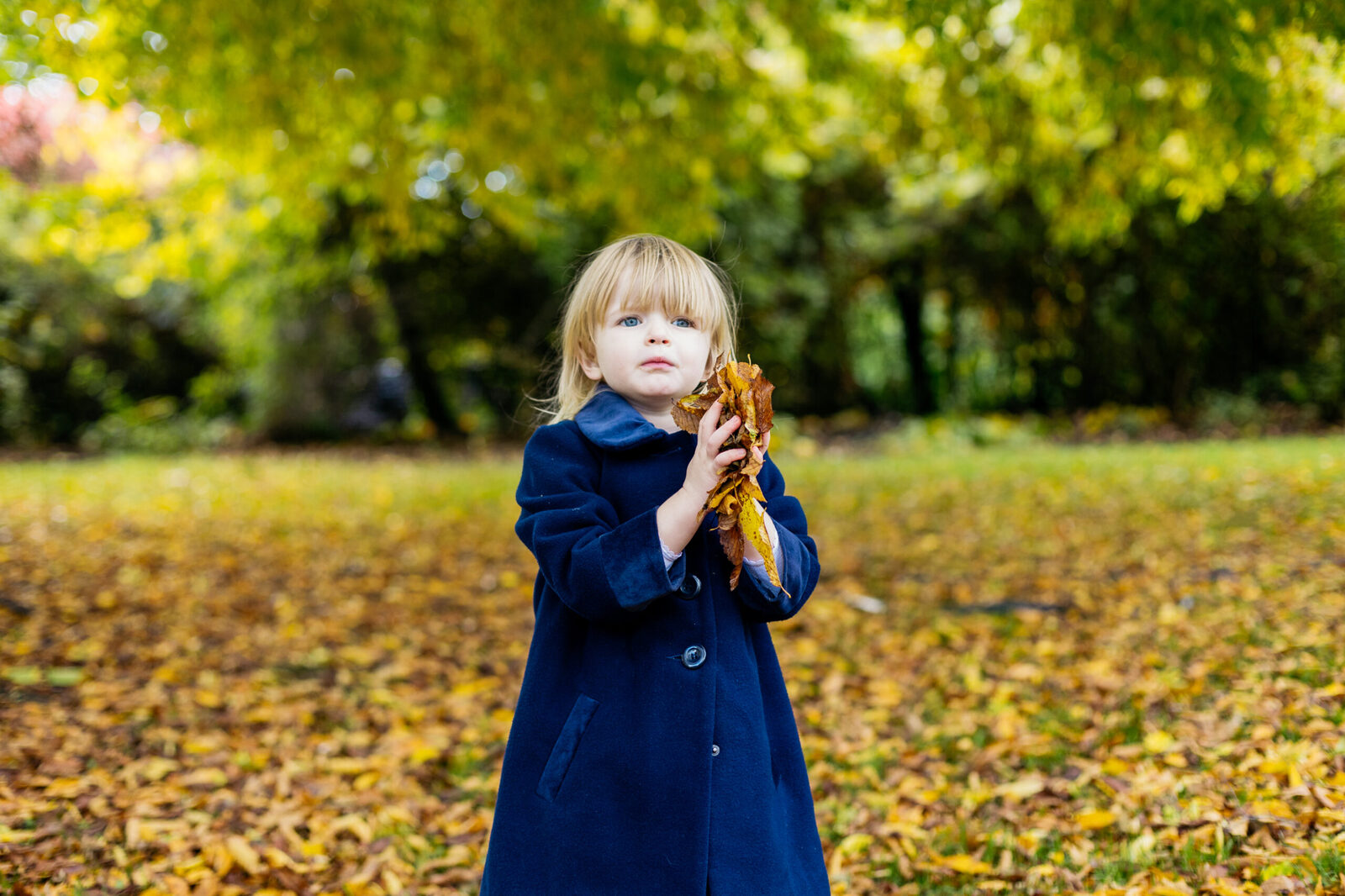 girl-holding-big-bunch-of-autumn-leaves-in-hands