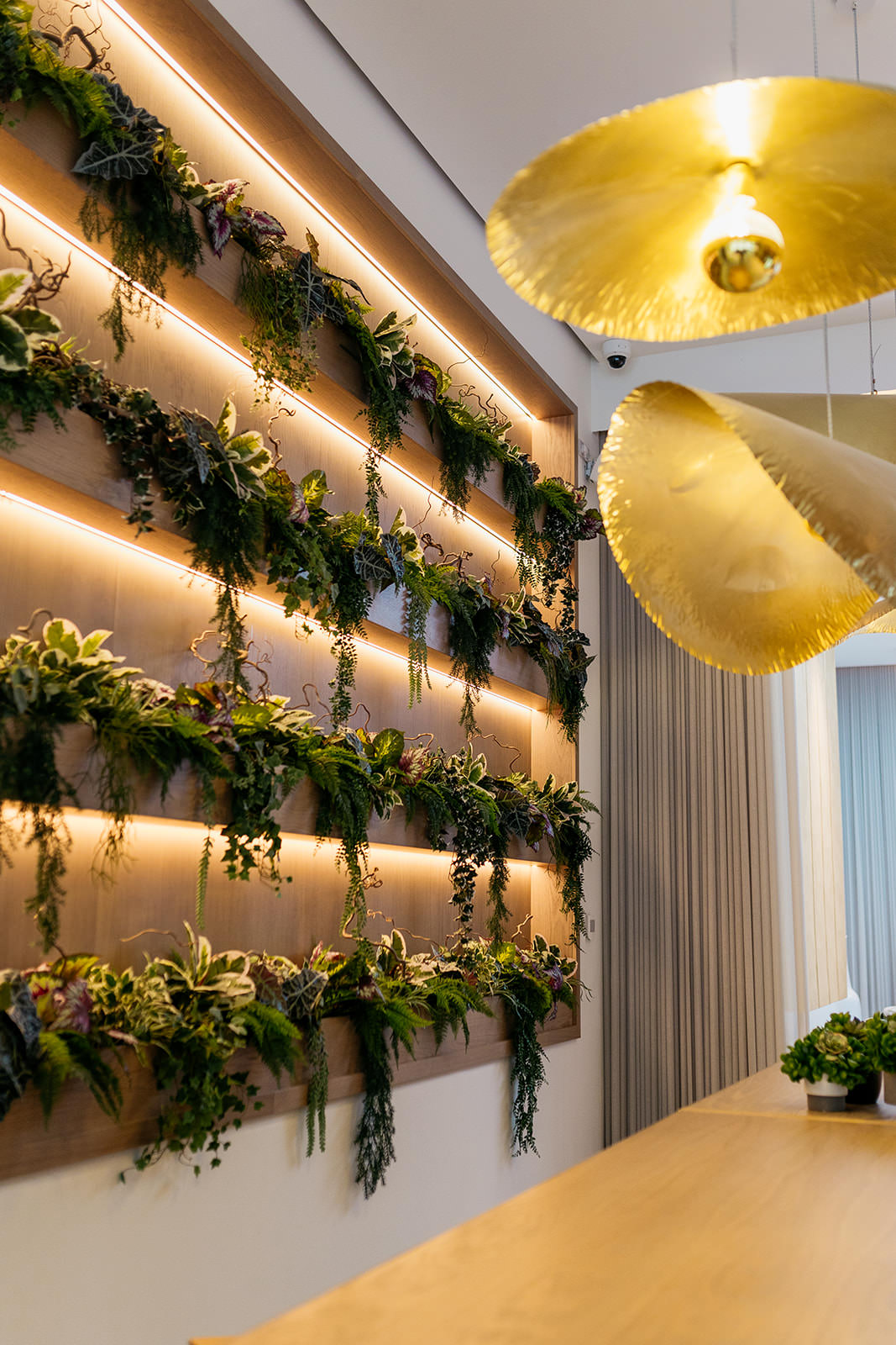 a living wall and gold light hangings in the reception of the AC Hotel